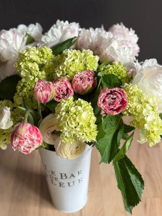 Premium Garden Mix