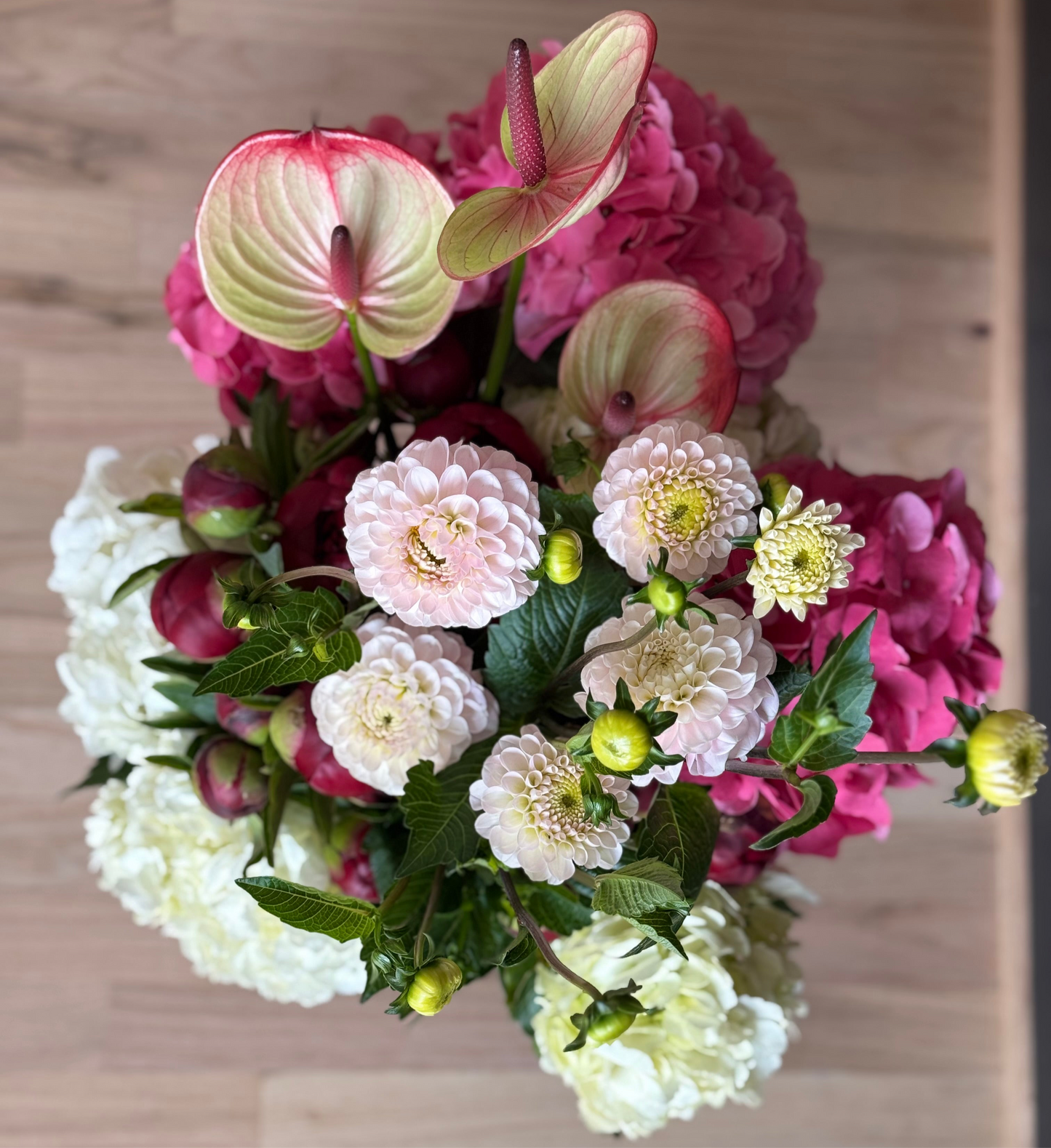 Premium Garden Mix